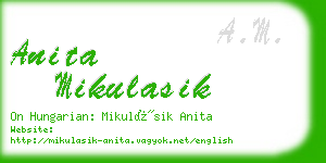 anita mikulasik business card